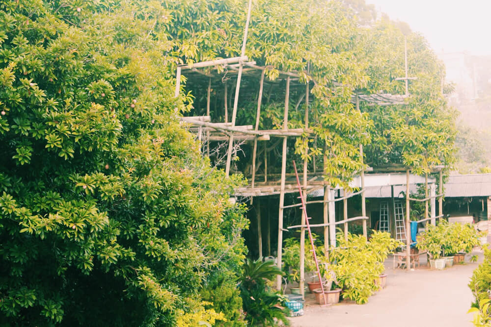 Processed with VSCO with c1 preset Processed with VSCO with c1 preset