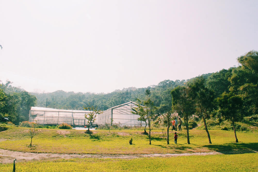 Processed with VSCO with c1 preset Processed with VSCO with c1 preset